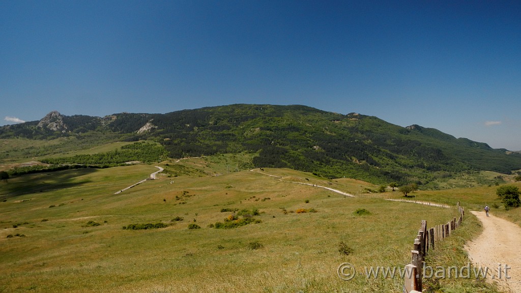DSCN9796.JPG -                                