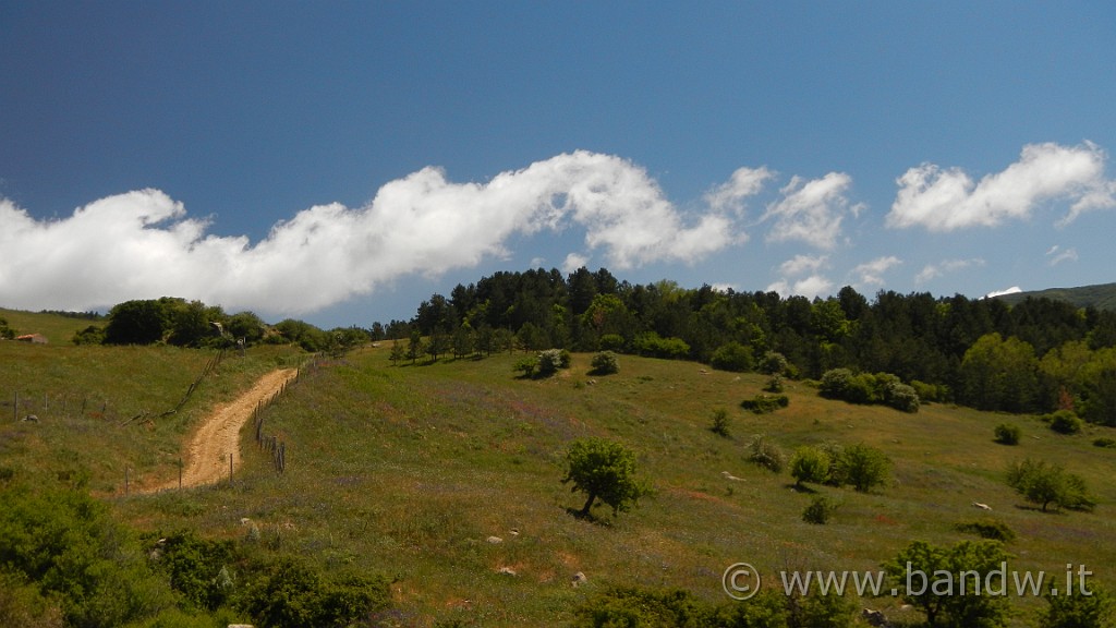 DSCN9802.JPG -                                