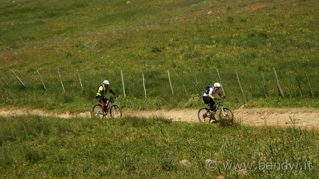 DSCN9805.JPG -                                