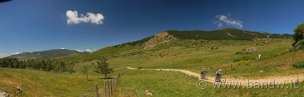 DSCN9806.jpg -                                