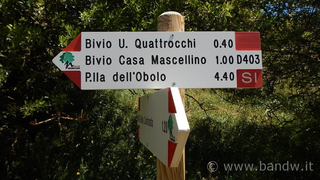 DSCN9811.JPG -                                