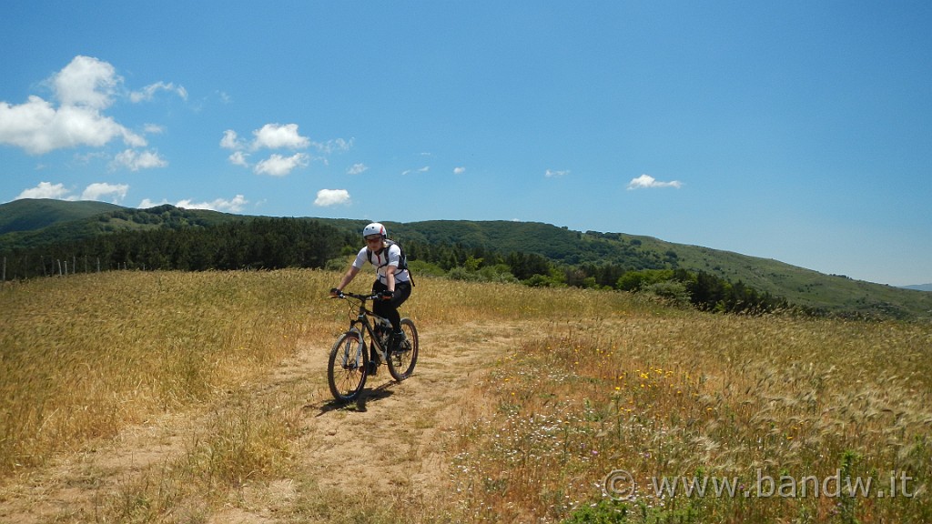 DSCN9821.JPG -                                