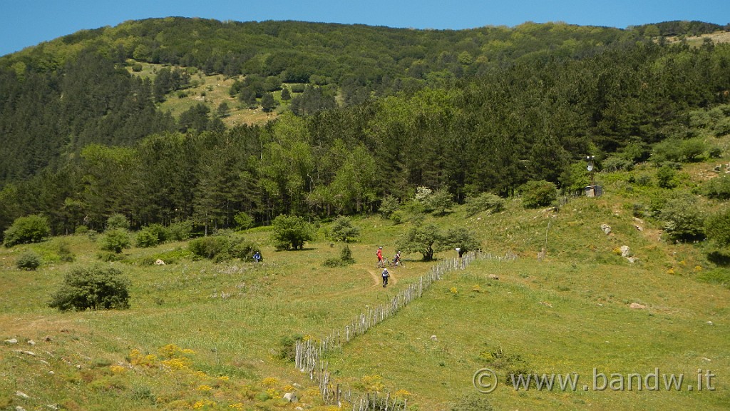 DSCN9823.JPG -                                