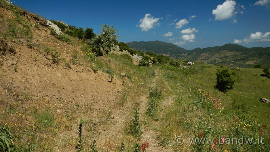 DSCN9825.JPG -                                