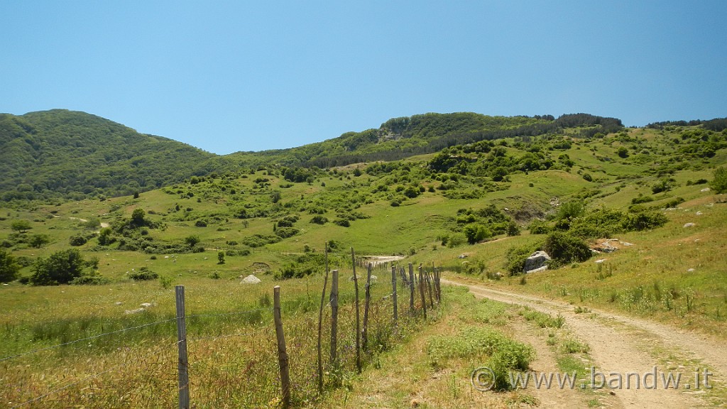 DSCN9829.JPG -                                