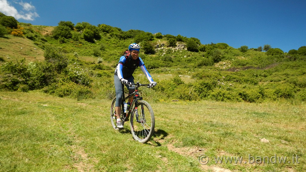 DSCN9831.JPG -                                