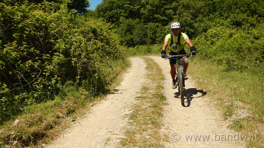 DSCN9839.JPG -                                