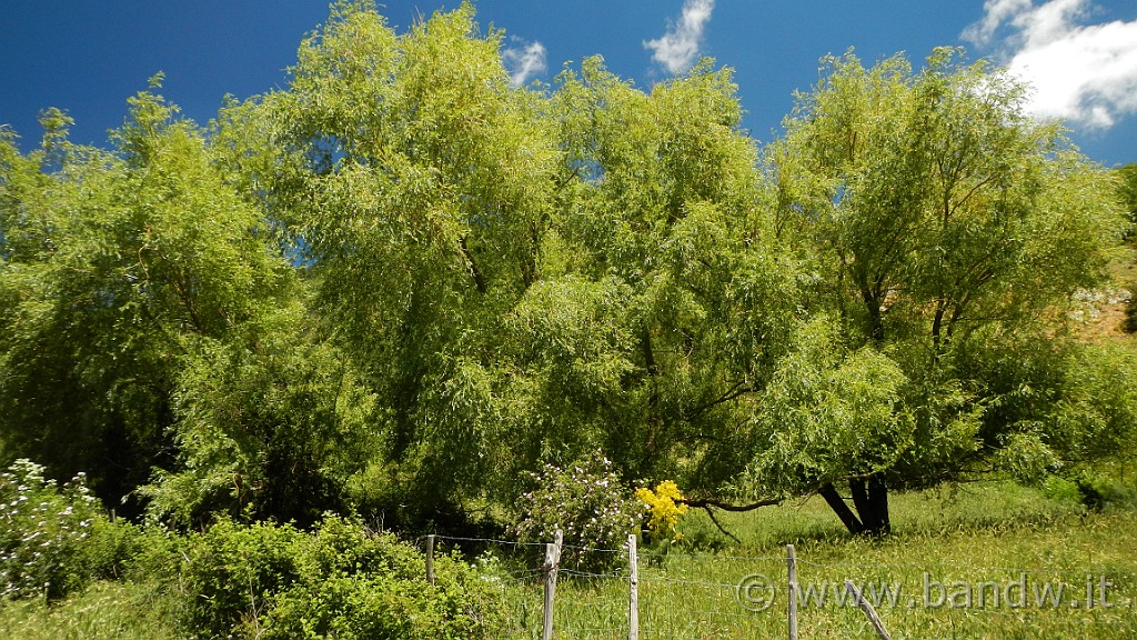 DSCN9841.JPG -                                