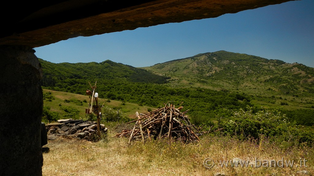 DSCN9849.JPG -                                
