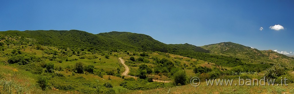 DSCN9850.jpg -                                