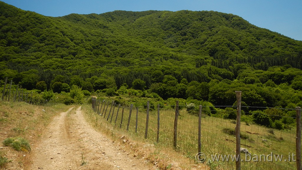 DSCN9851.JPG -                                