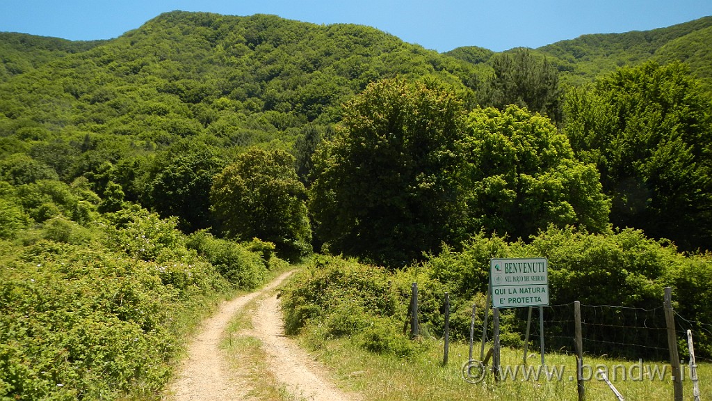 DSCN9852.JPG -                                