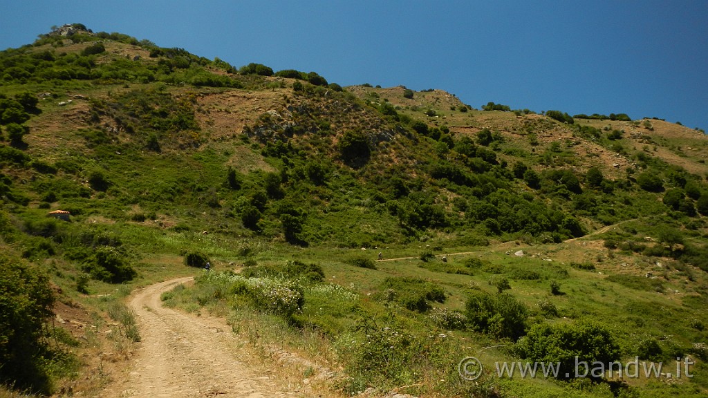 DSCN9853.JPG -                                