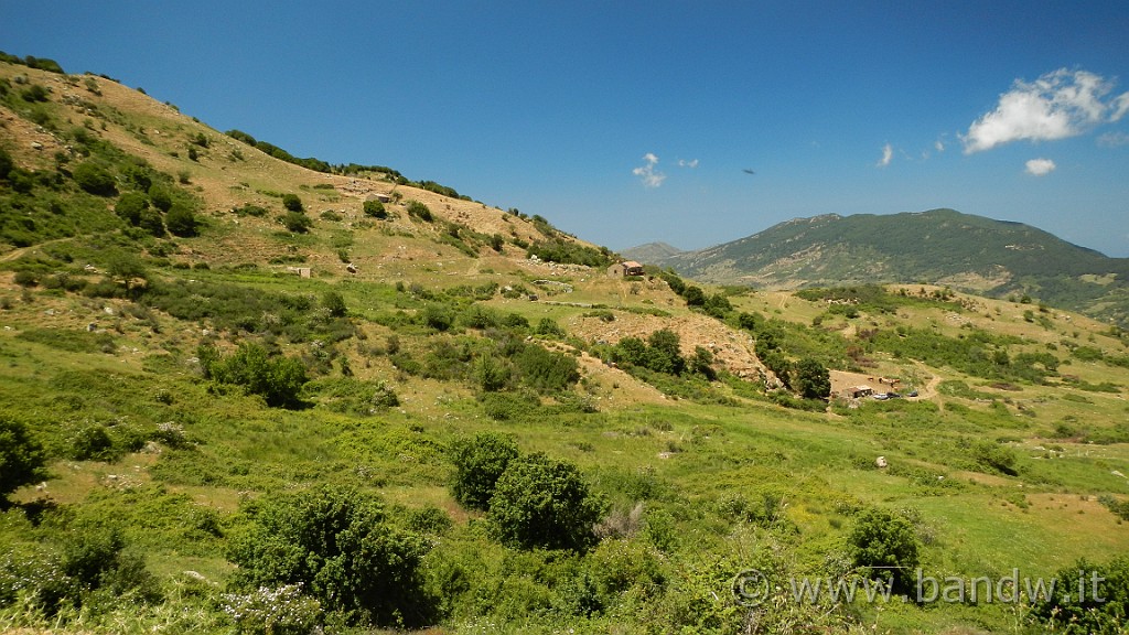DSCN9854.JPG -                                