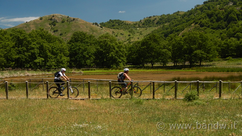 DSCN9856.JPG -                                