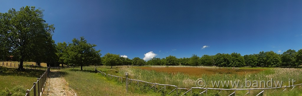 DSCN9859.jpg -                                