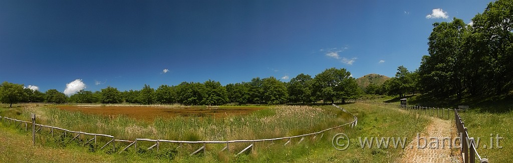 DSCN9860.jpg -                                