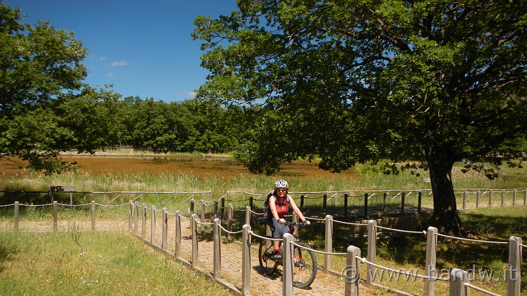 DSCN9864.JPG -                                