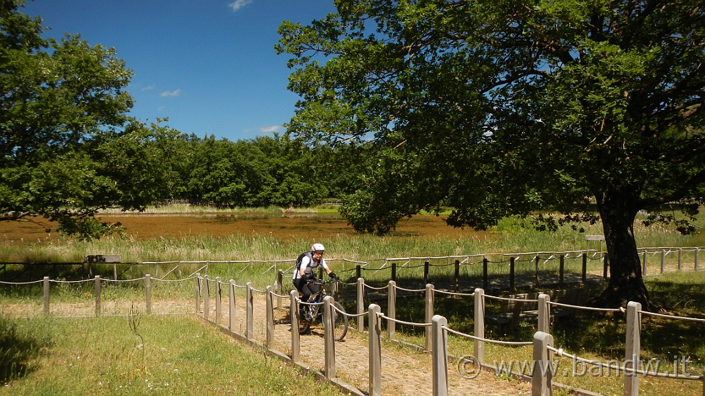 DSCN9865.JPG -                                