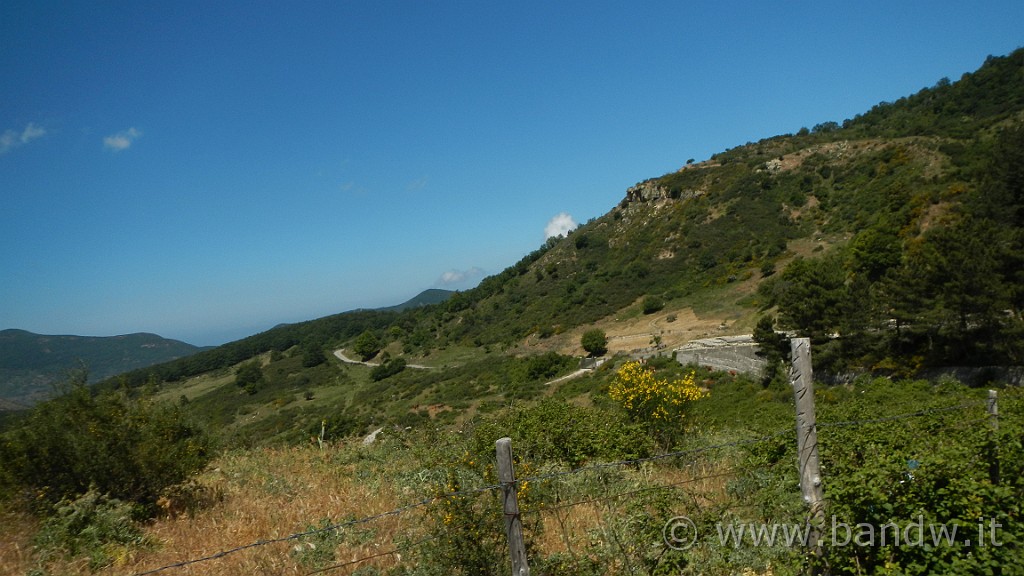 DSCN9883.JPG -                                