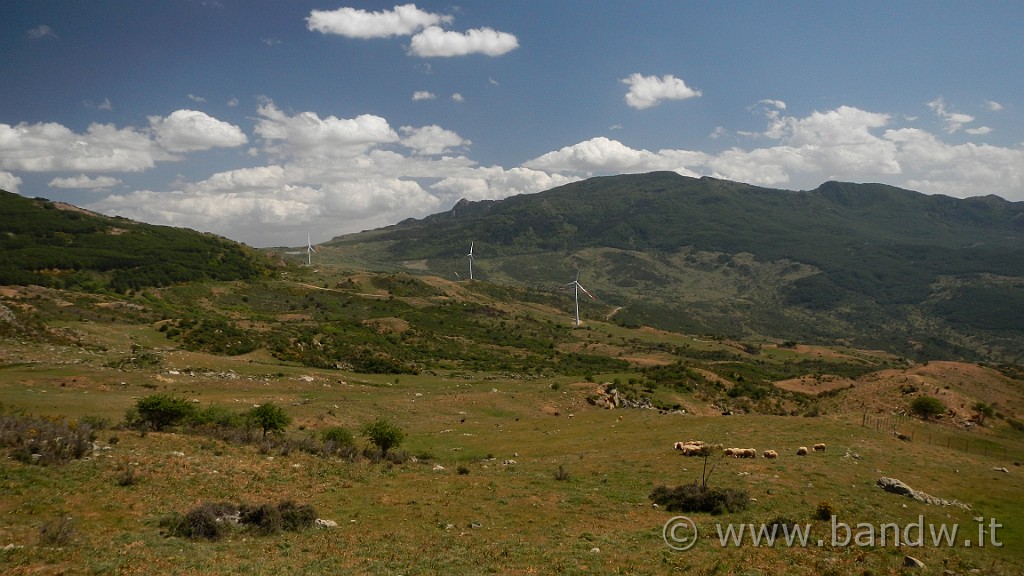 DSCN9886.JPG -                                