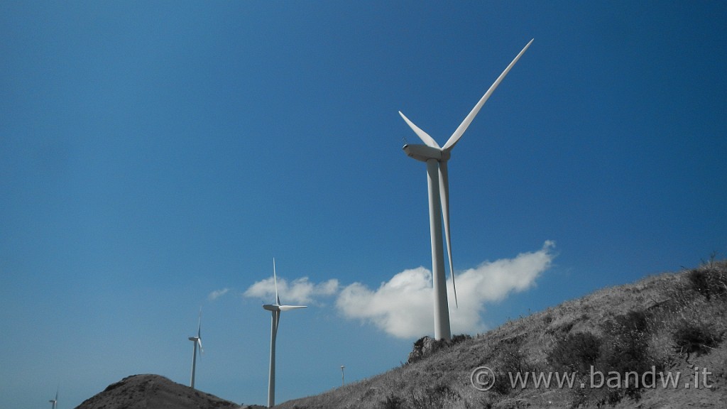 DSCN9887.JPG -                                