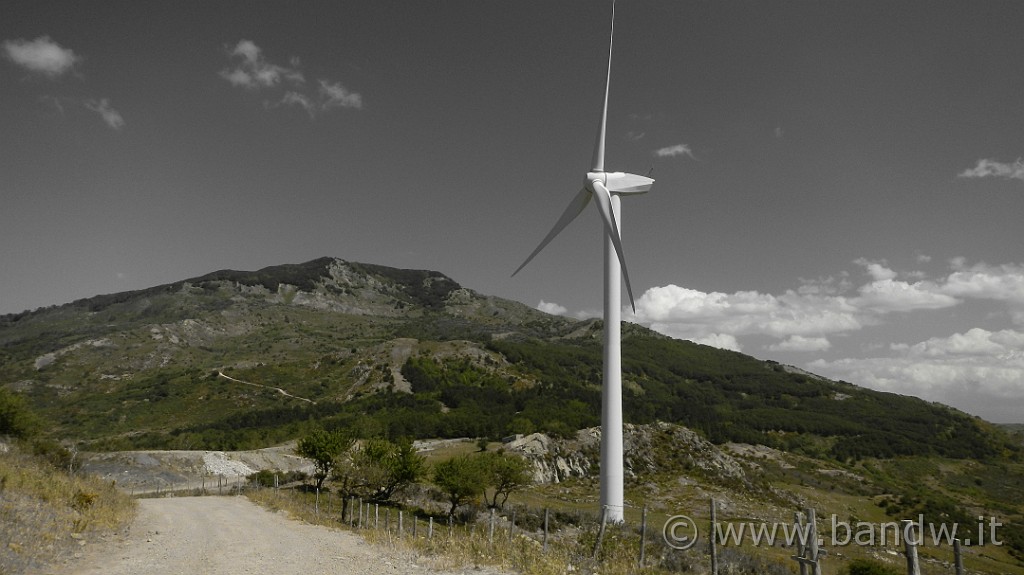DSCN9888.JPG -                                