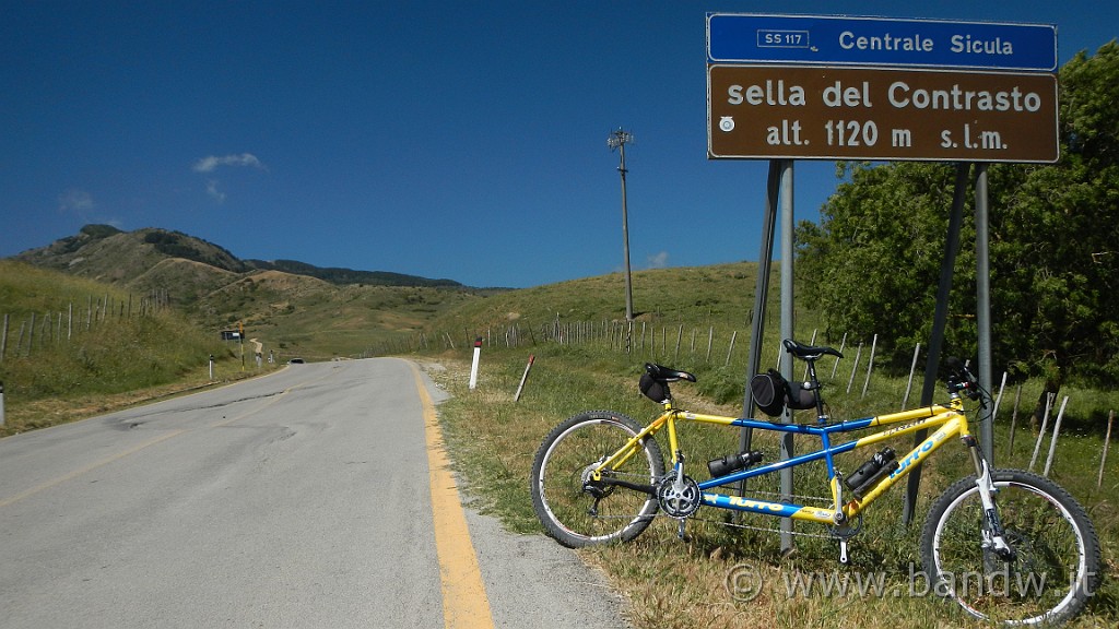 DSCN9891.JPG -                                
