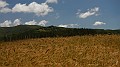 DSCN9822