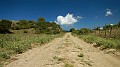 DSCN9837