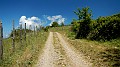 DSCN9840