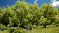 DSCN9841