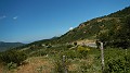 DSCN9883