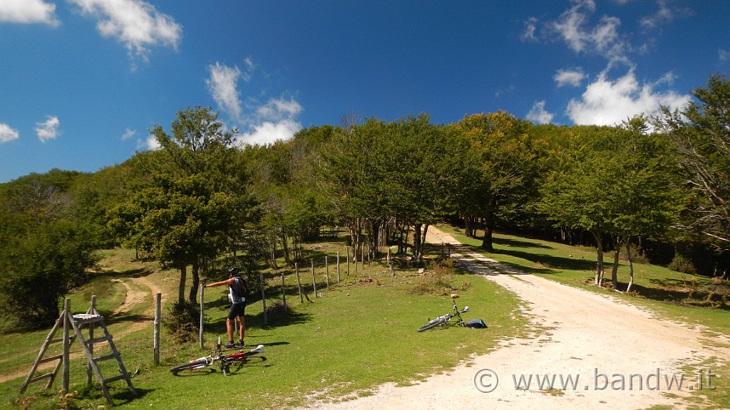 DSCN9737.JPG -                                