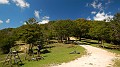 DSCN9737
