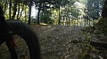 DSCN6854