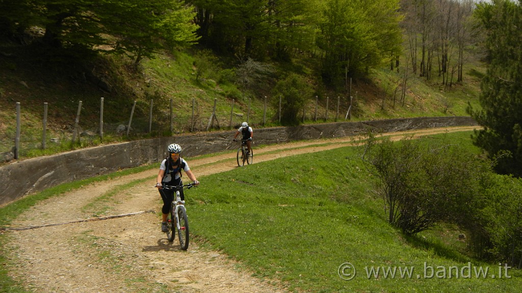 DSCN9012.JPG -                                