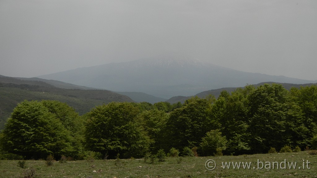 DSCN9019.JPG -                                