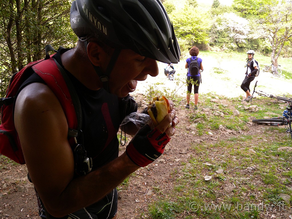 DSCN9546.JPG -                                
