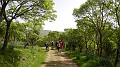 DSCN8976
