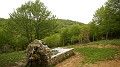 DSCN9014