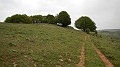 DSCN9016