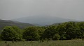 DSCN9019