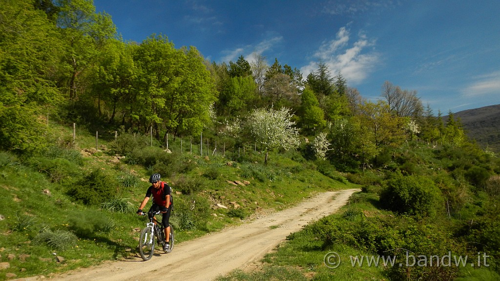 DSCN8870.JPG - Che colori!!!!!