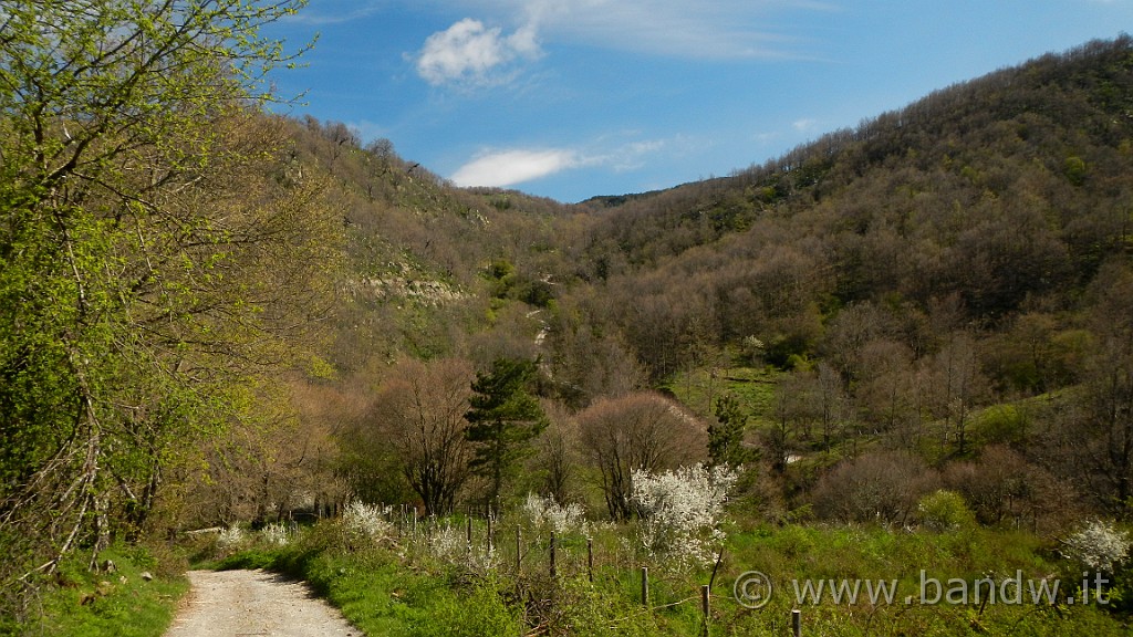 DSCN8884.JPG - Da qui di scende, ma la salita che si prospetta a centro della foto, non promette bene