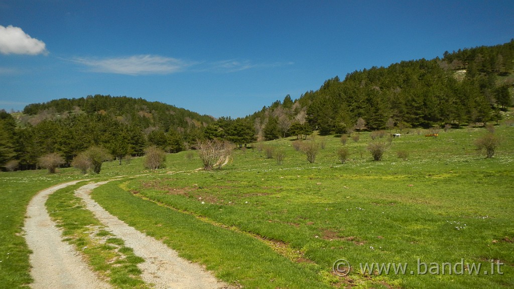 DSCN8908.JPG - Ancora per poco il cielo è azzurro, ma alle mia spalle si sta guastando