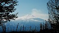 DSCN8858