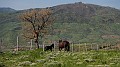 DSCN8863