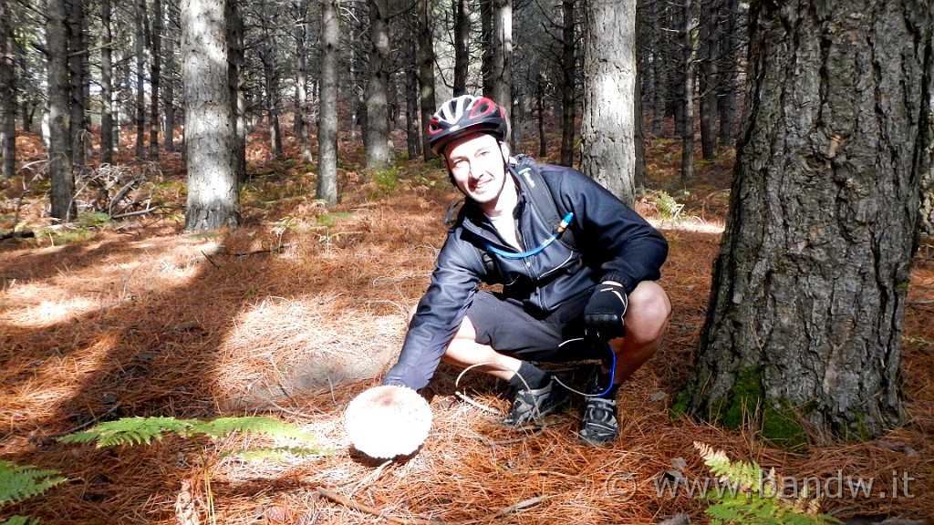 DSCN5946.JPG -                                