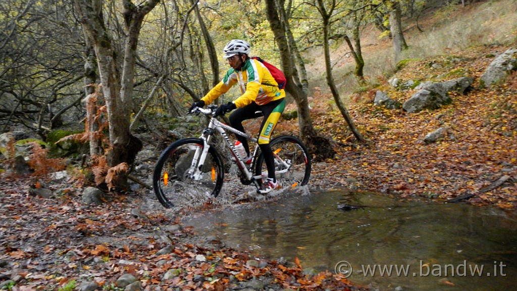 DSCN5968.JPG -                                
